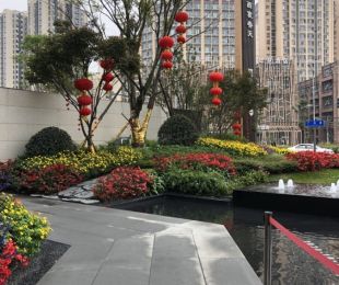 实景图